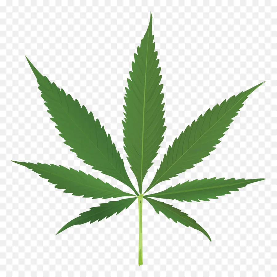 Folha Verde，Cannabis PNG