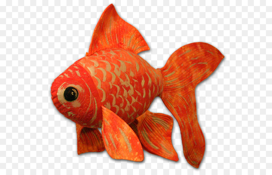 Peixe Koi，Peixe PNG