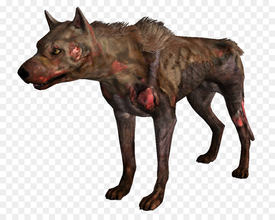 Cachorro Zumbi，Cachorro PNG