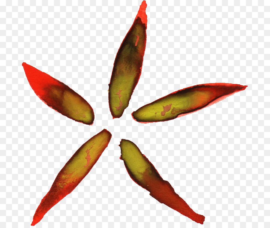 Thepix，Flor PNG