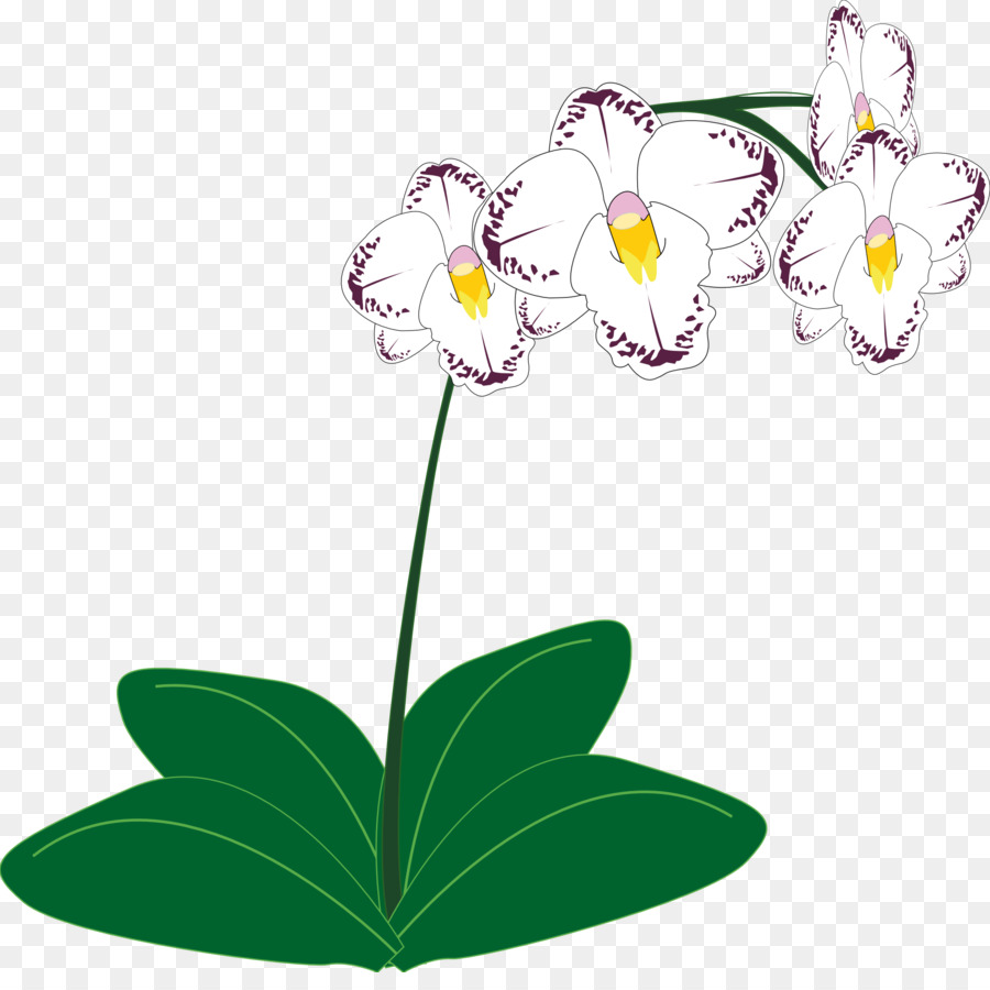 Flor Branca，Tronco PNG