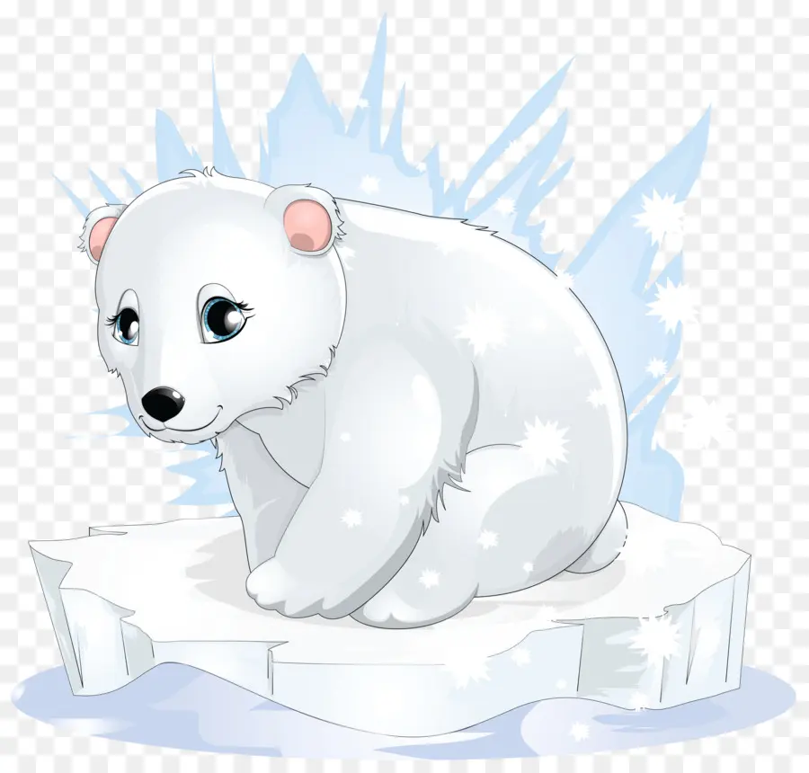 Urso Polar，Urso PNG