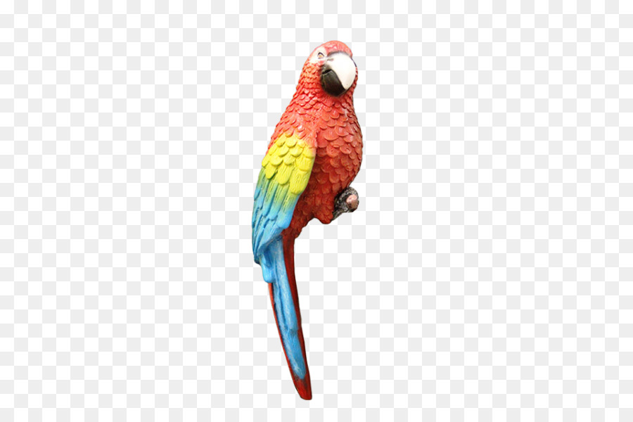 Papagaio，Colorido PNG