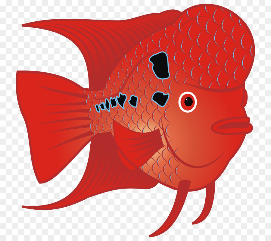 Peixe Vermelho，Mar PNG