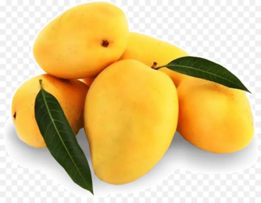 índia，Mango PNG