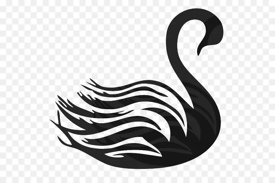 Cisne Negro，Pássaro PNG