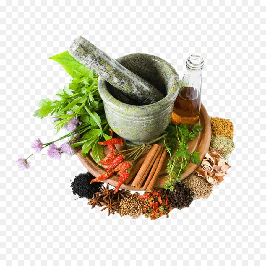 Erva，Herbalism PNG