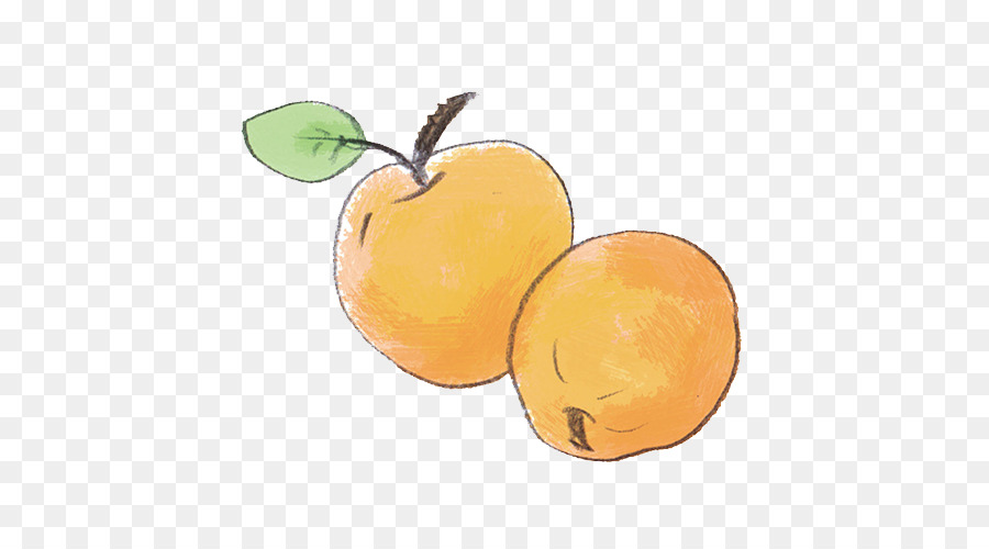 Laranja，Citrino PNG