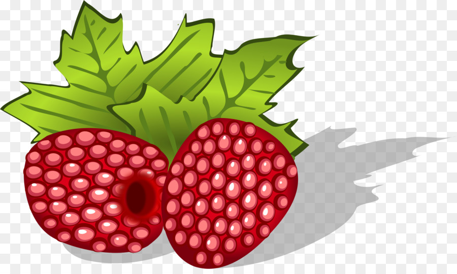 Framboesa，Berry PNG