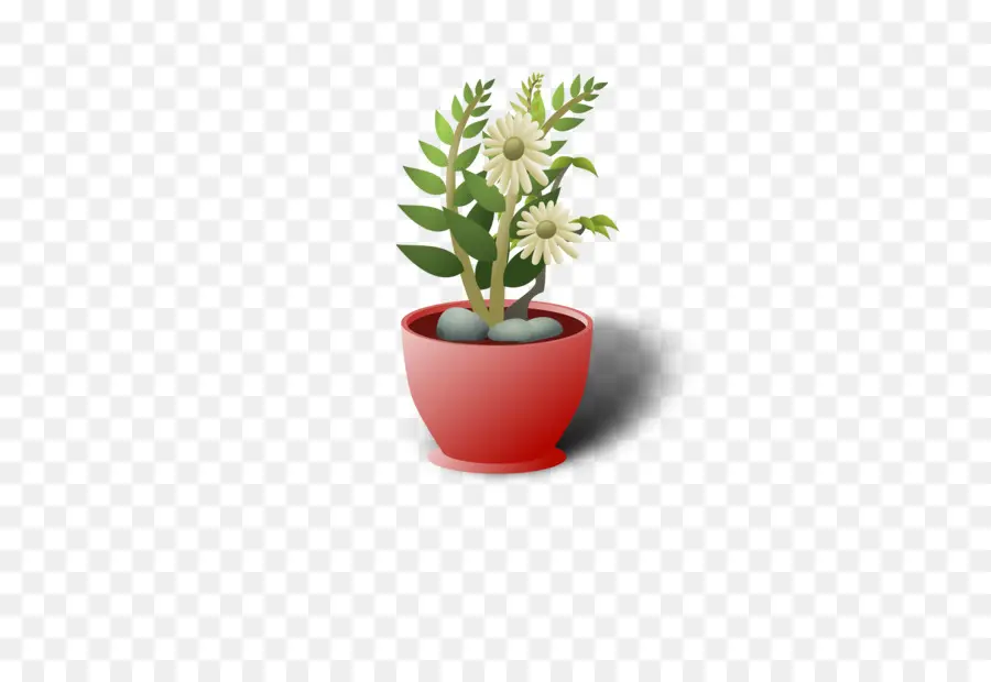 Planta Em Vaso，Flor PNG