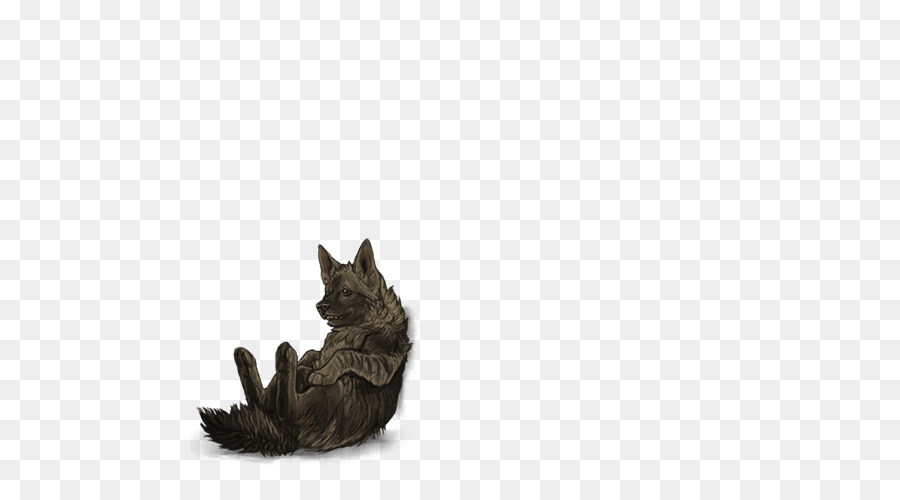 Gato，Leão PNG