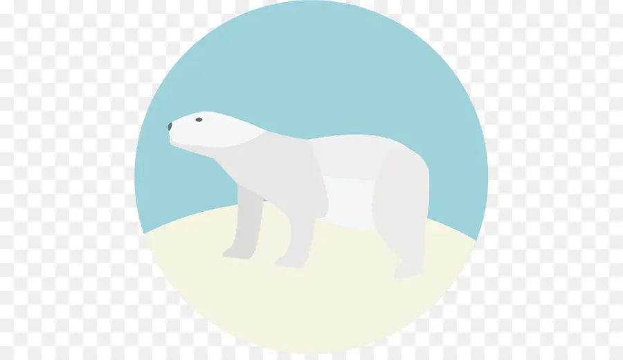 Urso Polar，ártico PNG