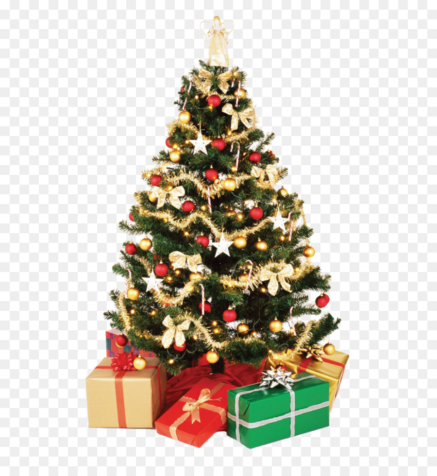 Convite De Casamento，árvore De Natal PNG