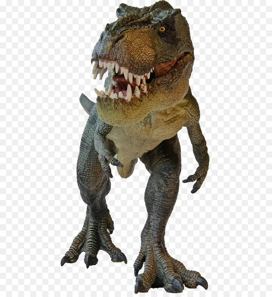 Tiranossauro Rex，Baryonyx PNG