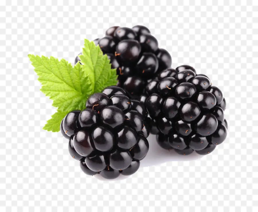 Tayberry，Blackberry PNG
