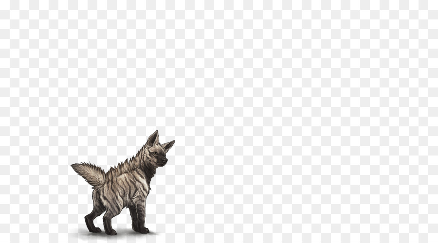 Cão Maltês，Felidae PNG