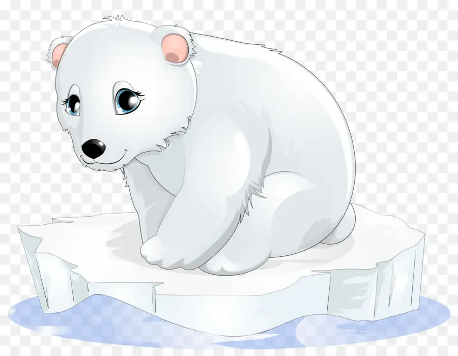 Urso Polar，Urso PNG