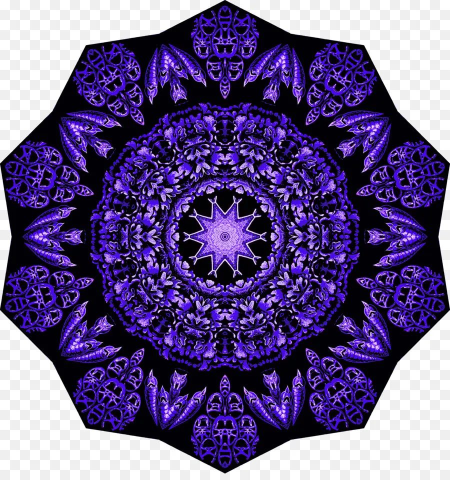 Roxo，Violeta PNG