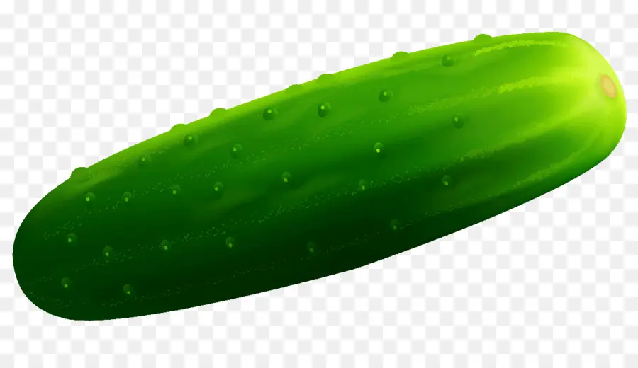 Pepino，Pepino Em Conserva PNG