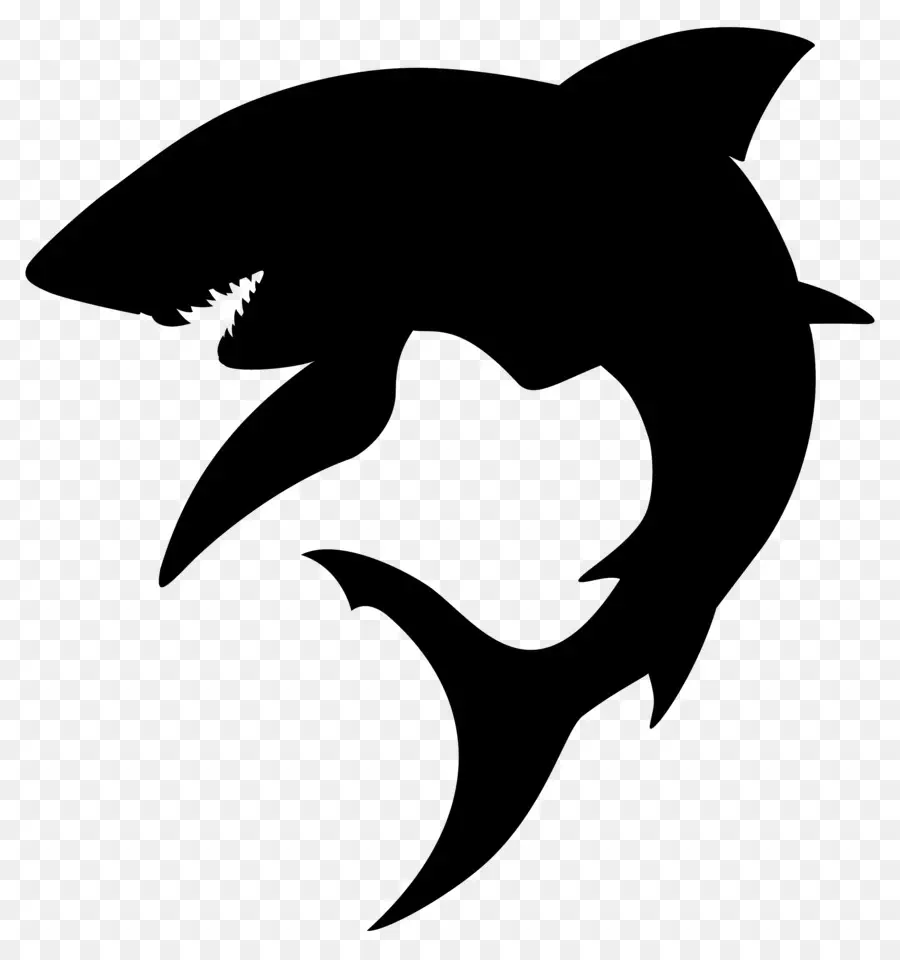 Tubarão，Sopa De Barbatana De Tubarão PNG