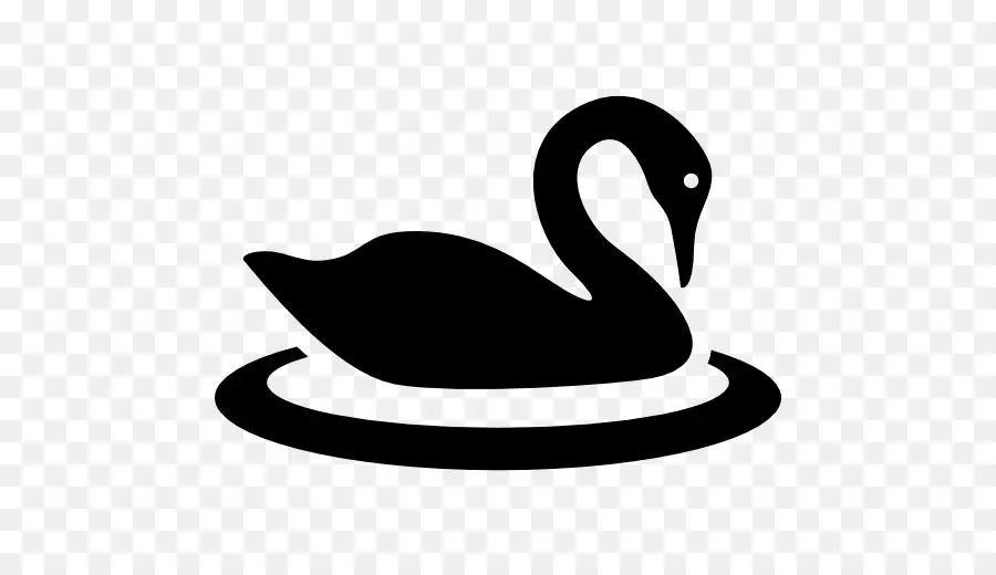 Cisne Negro，Aves PNG