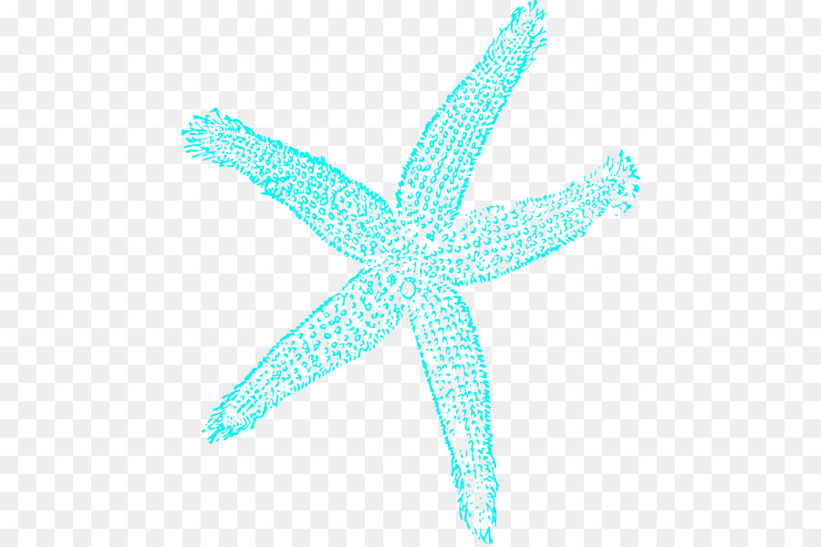 Estrela Do Mar，Desenho PNG