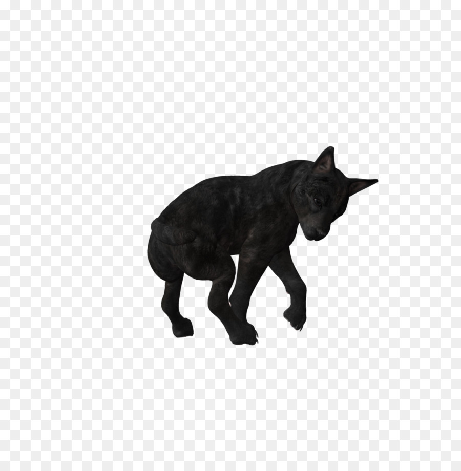 Cão，Filhote De Cachorro PNG