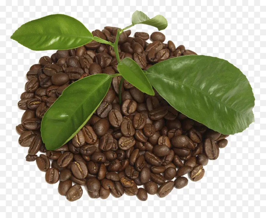 Café，Chá PNG