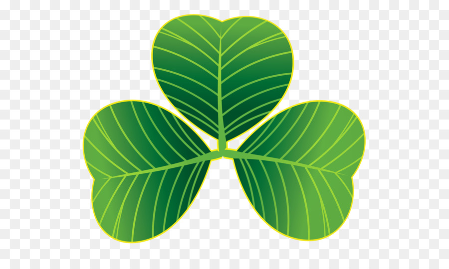 Saint Patrick S Day，Trevo PNG