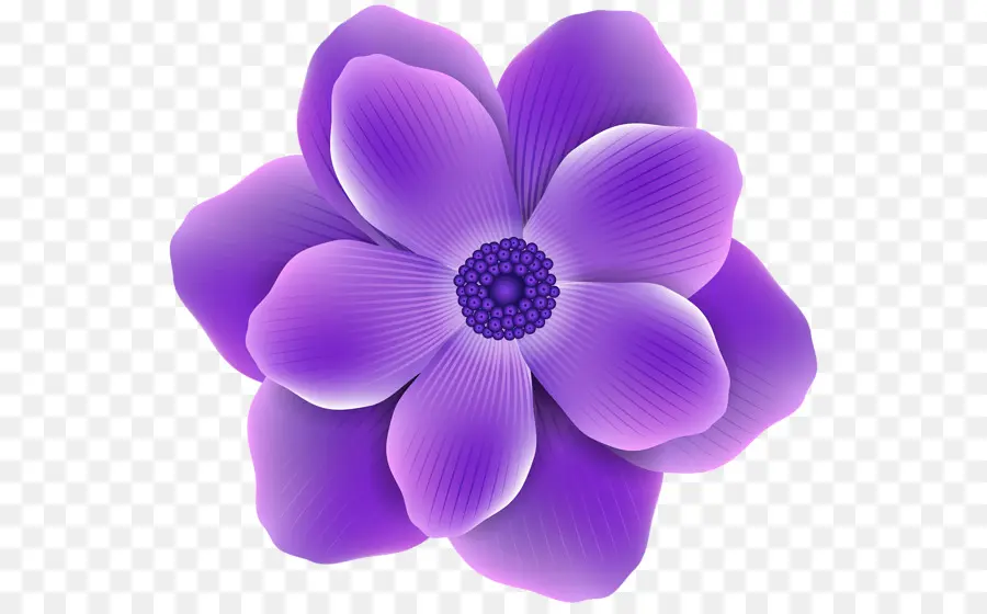 Flor，Roxo PNG