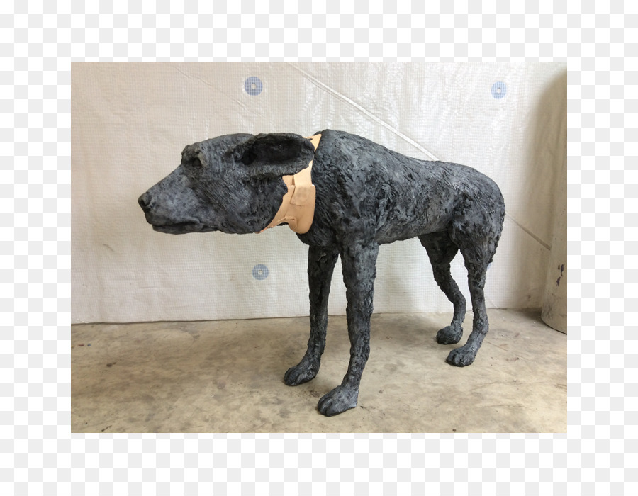 Cão，Hiena PNG