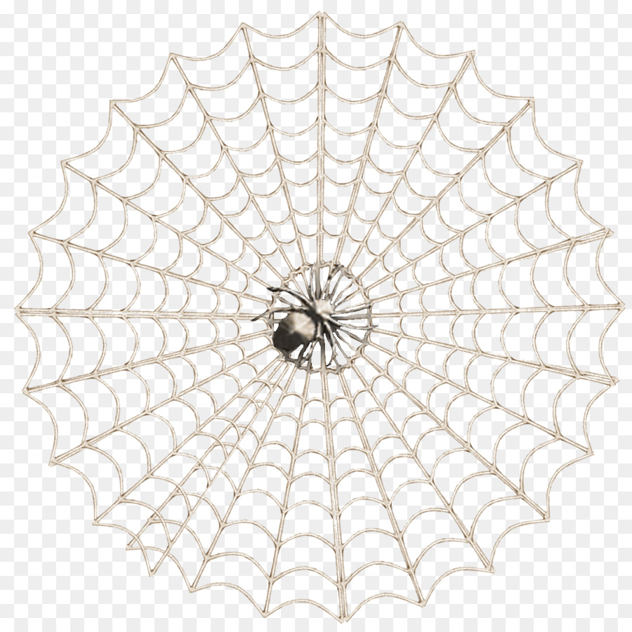 Teia De Aranha，Aranha PNG