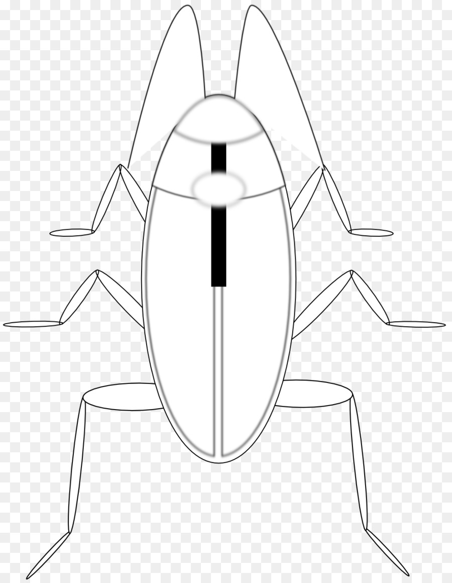 Diagrama De Insetos，Inseto PNG