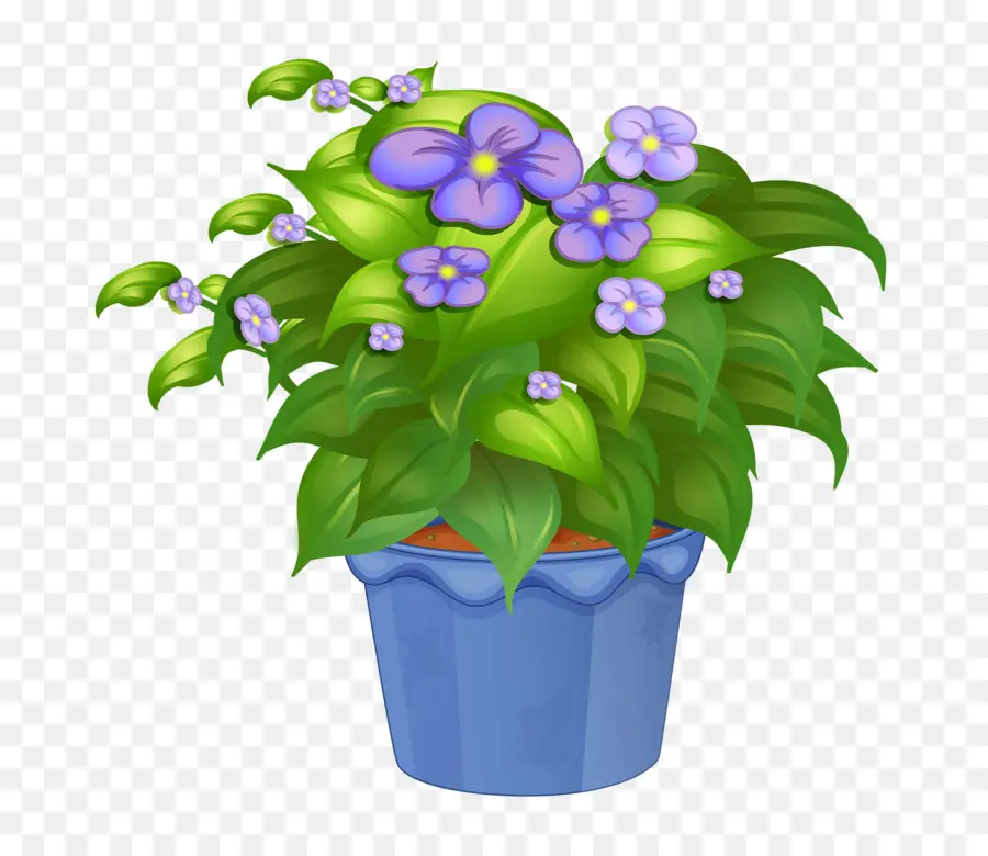 Planta Ornamental，Planta De Casa PNG