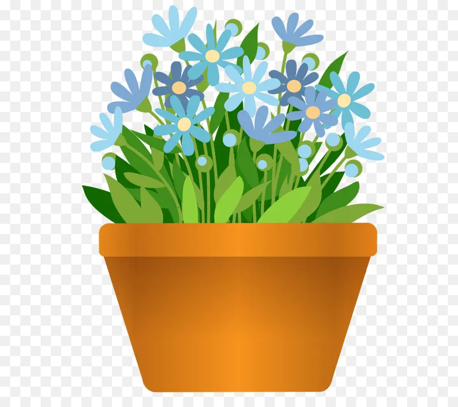 Floração De Plantas De Vaso，Flowerpot PNG