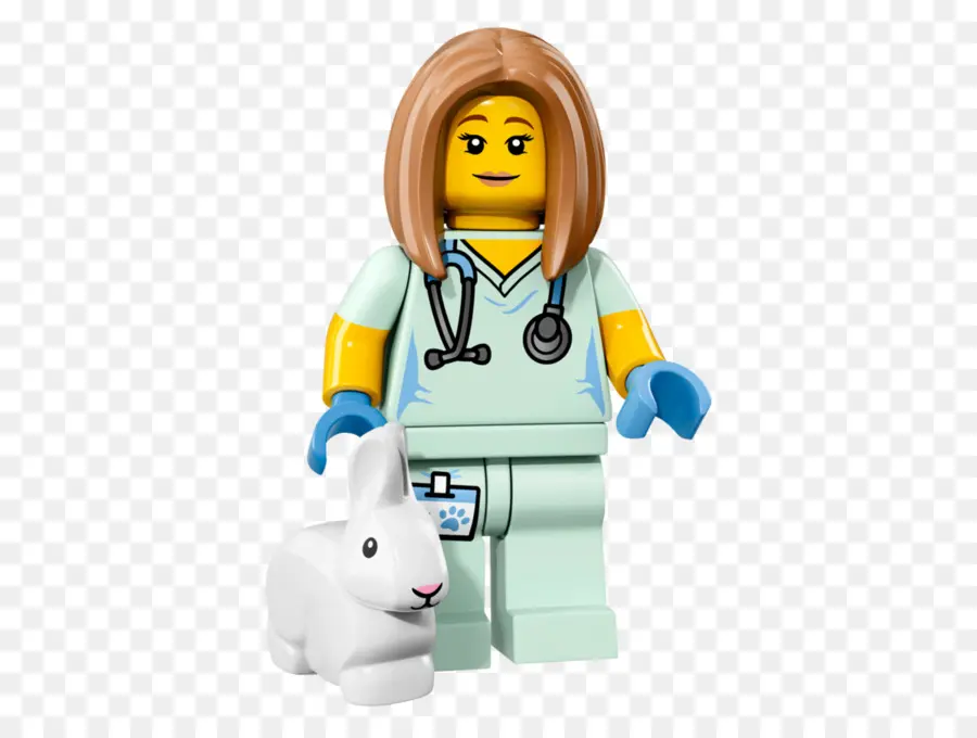 Veterinário Lego，Lego PNG