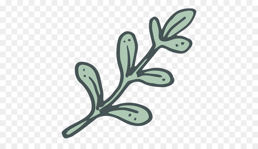 Olive Branch，Desenho PNG