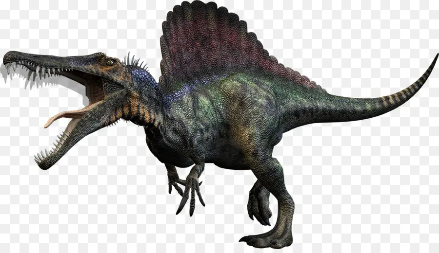 Carnívoros Dinosaur Hunter，Spinosaurus PNG