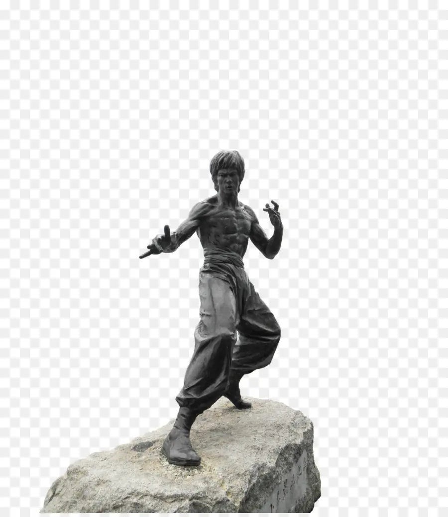 Estátua Do Artista Marcial，Artes Marciais PNG