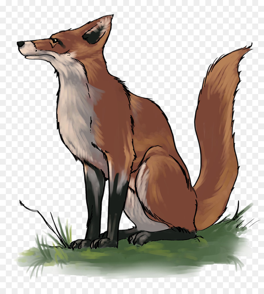 Fox，Raposa Vermelha PNG