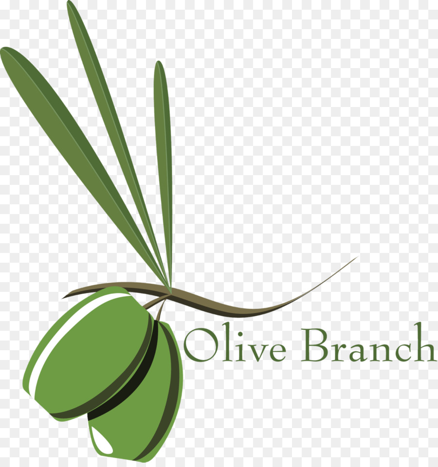 Featured image of post Ramo De Oliveira Desenho Png