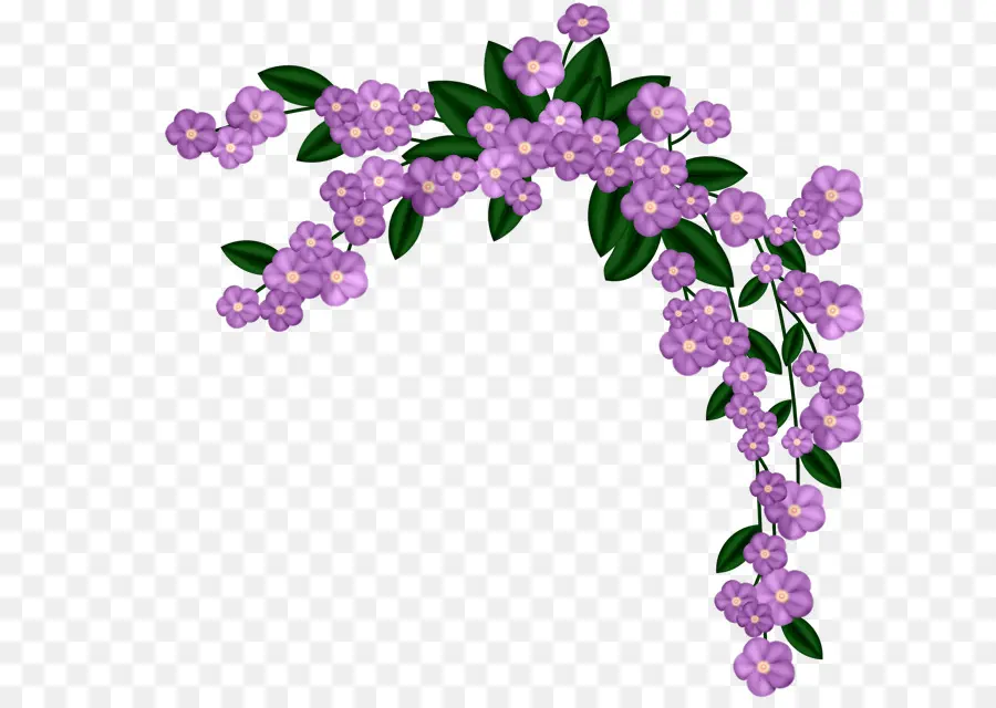 Flor，Violeta PNG