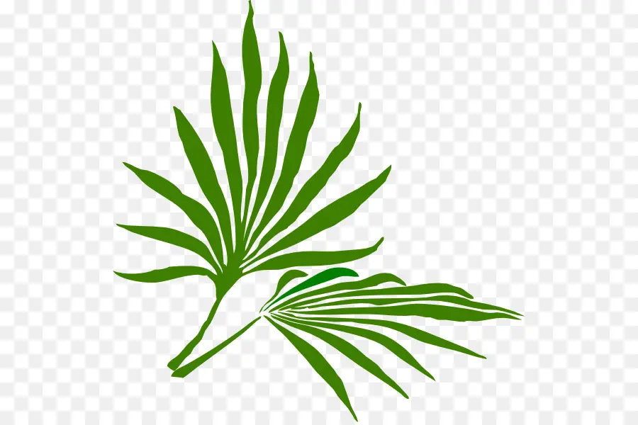 Folha Verde，Natureza PNG