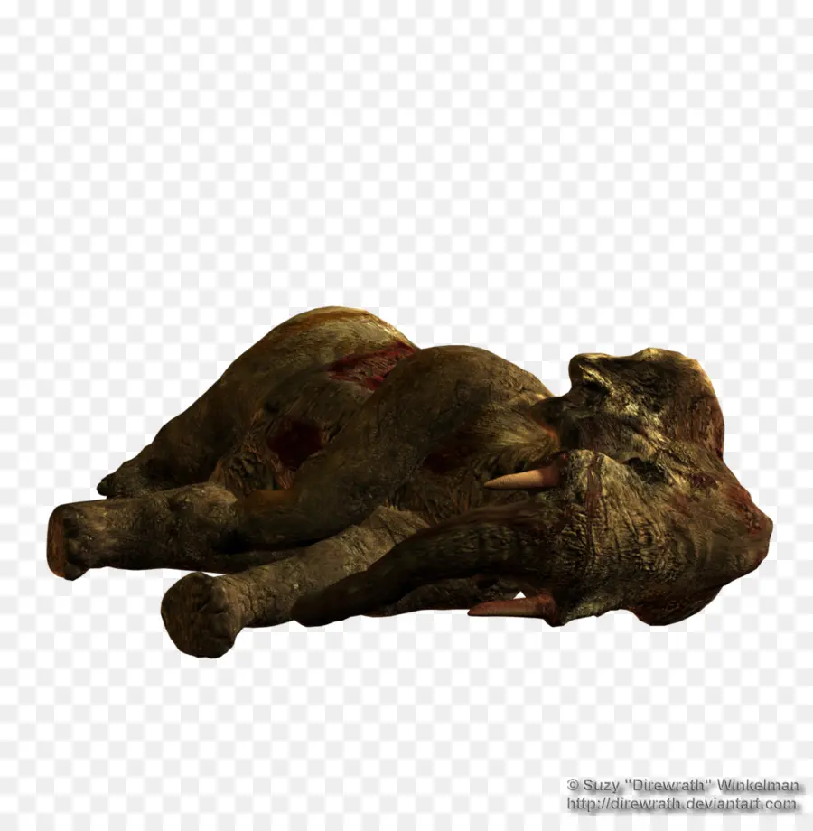 Animal Morto，Cadáver PNG