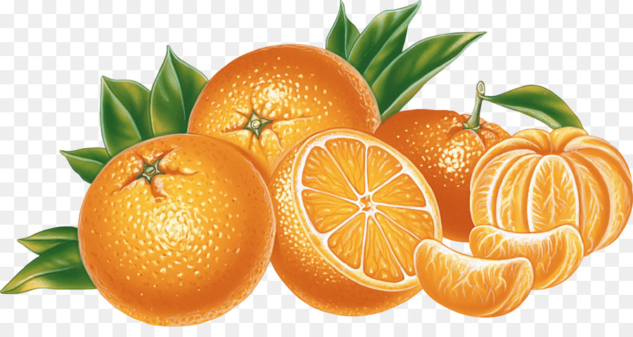 Fruta Laranja，Folhas PNG