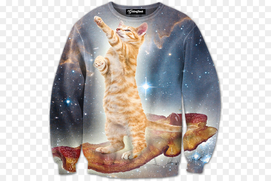 Gato，Tshirt PNG