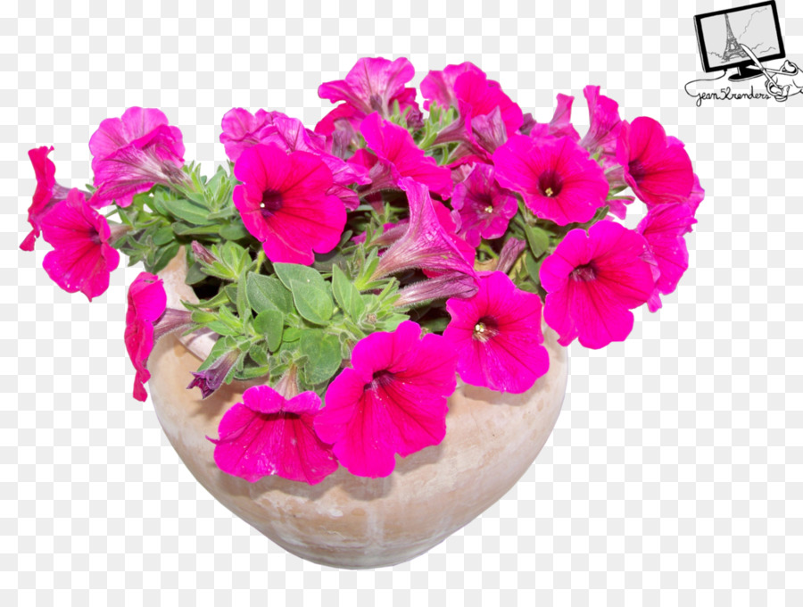 Flores Cor De Rosa，Pote PNG