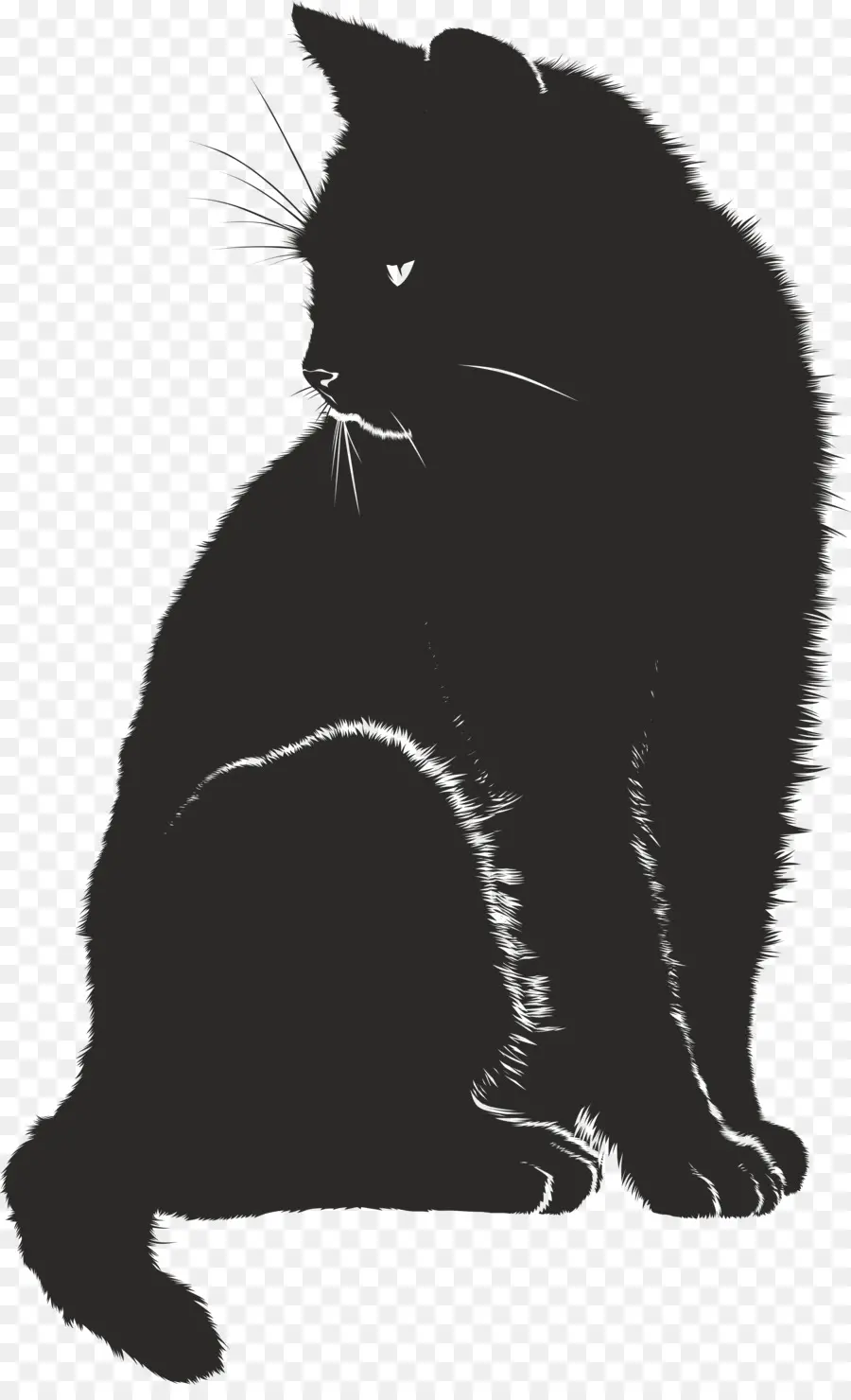 Gato，Babá De Animais PNG