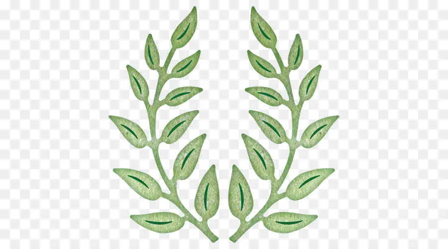 Olive Branch，Papel PNG