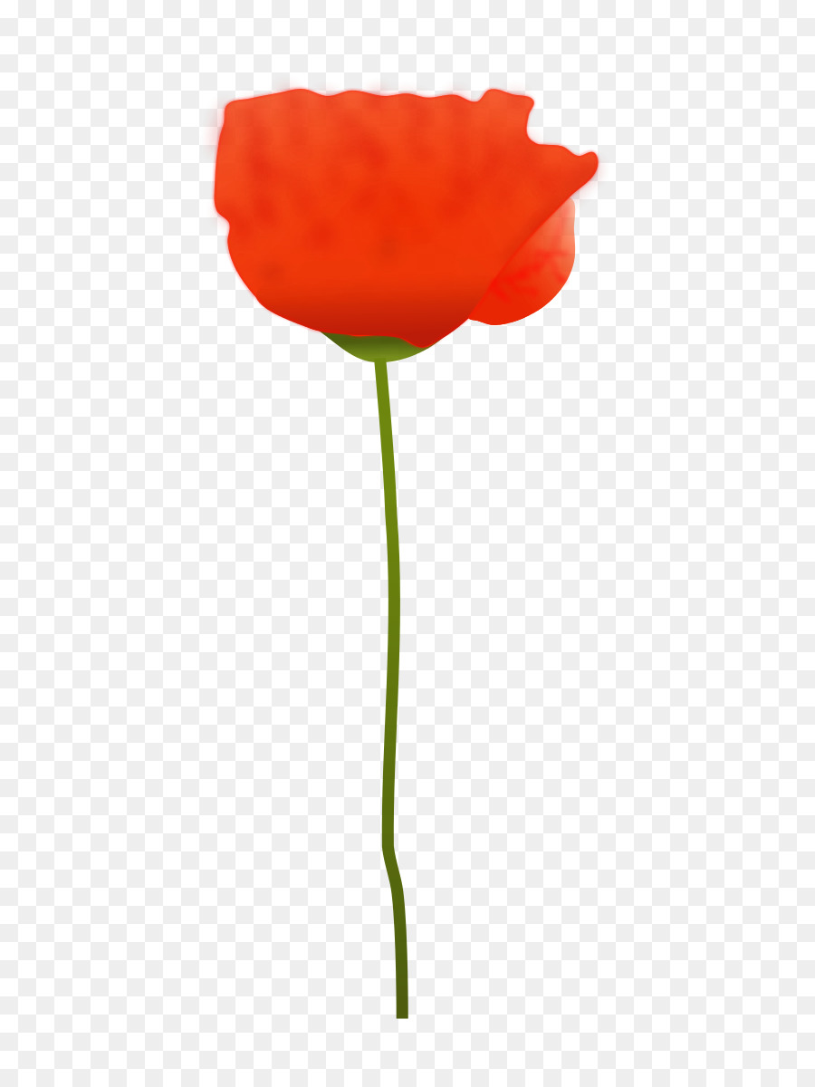 Tulipa Vermelha，Tronco PNG